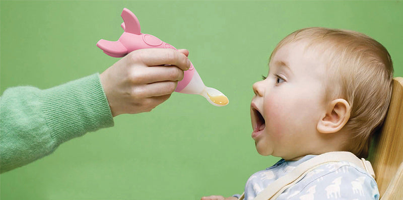 Como começar a introdução alimentar?
