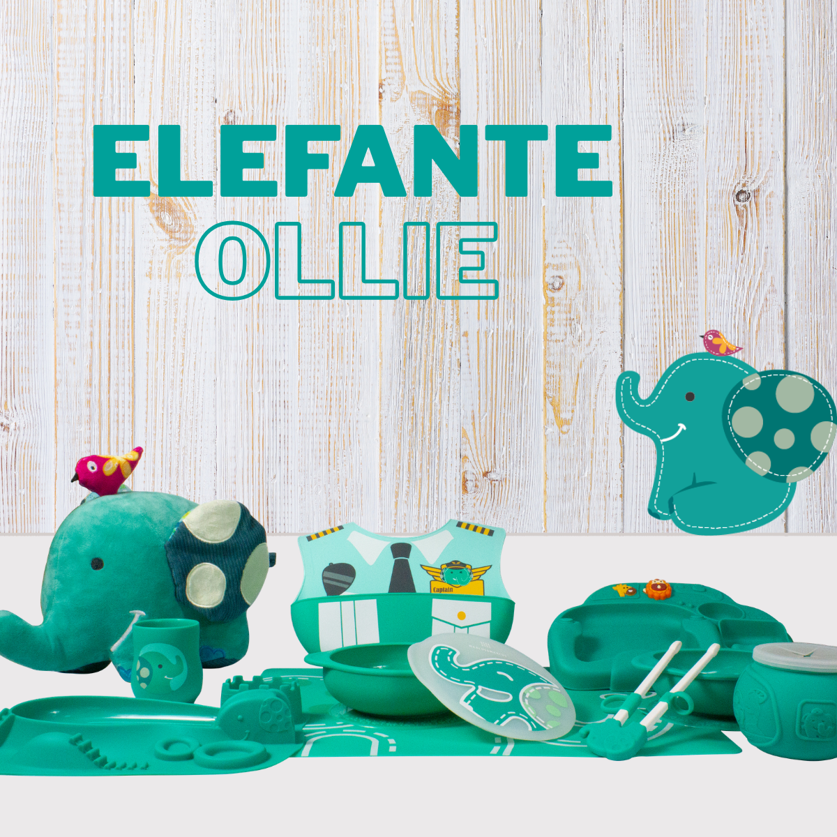 Elefante Ollie