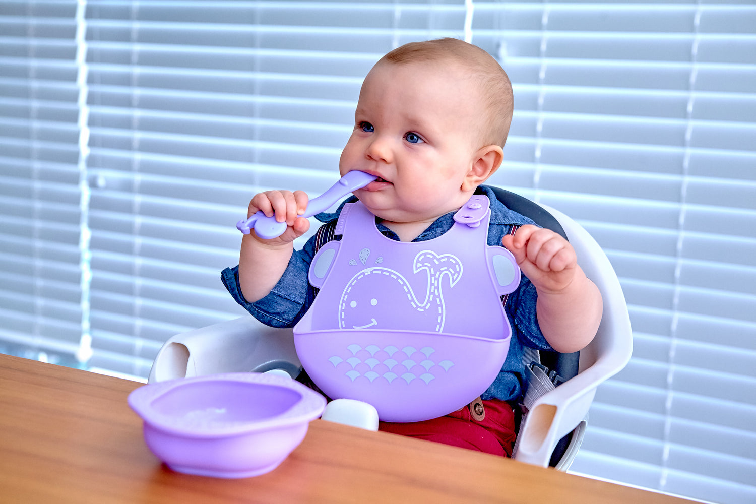 Kit para Introdução Alimentar em Silicone (Tigela 200 ml, Colher e Babador)  Baleia Willo - Lilás