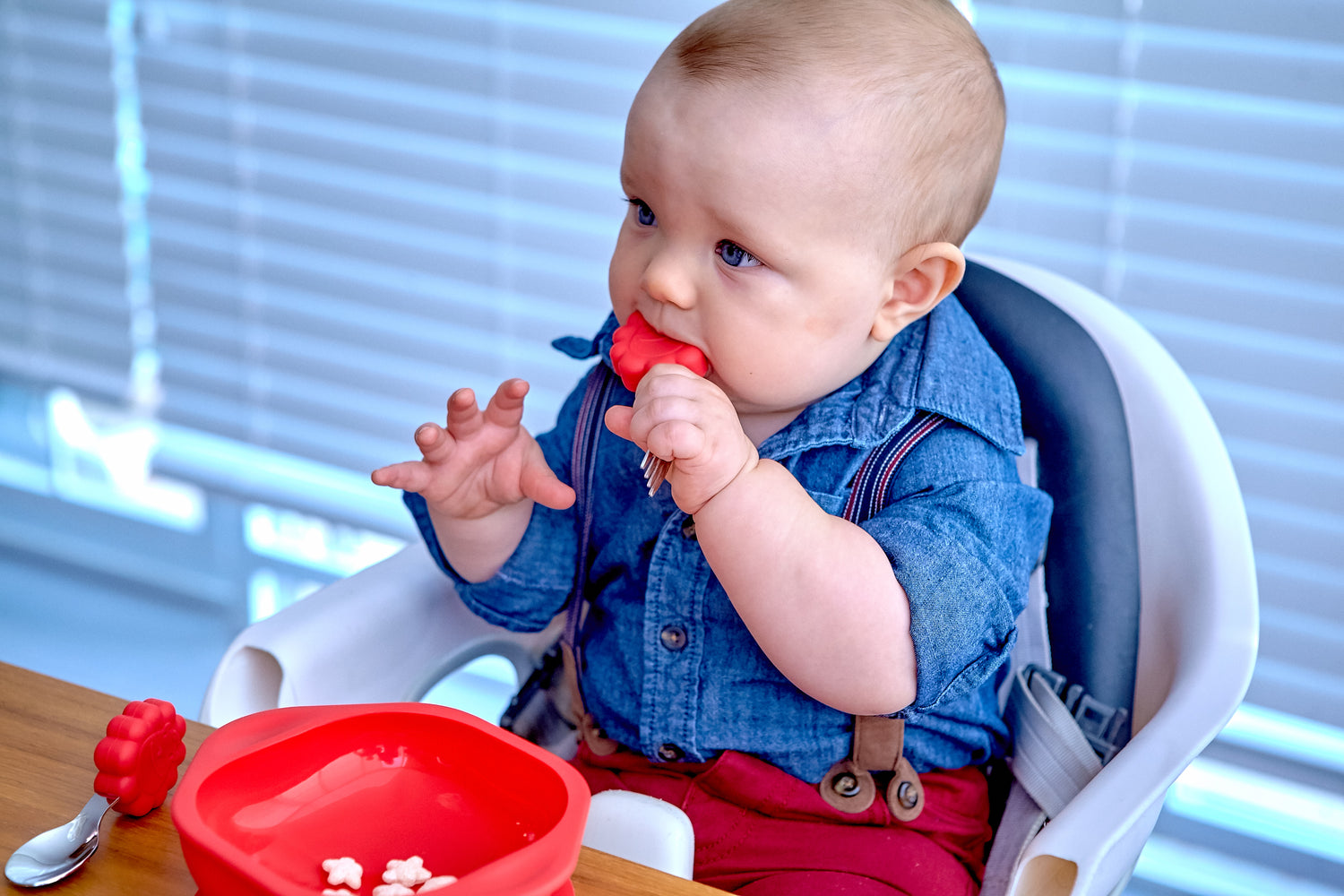Kit de Alimentação Tigela com Sucção e Primeiro Jogo de Colher e Garfo Leão Marcus - Vermelho